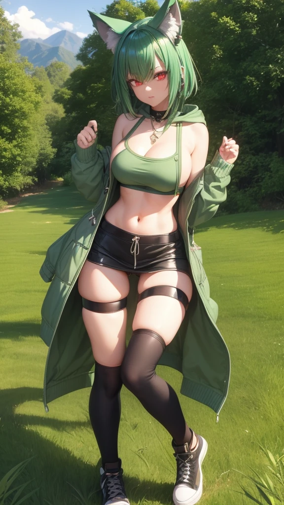   , Croped, , , slim waist, cropped hoodie , cropped hoodieunderboobhoodie, 1girl, 2 wolf ears, wolf tail,  crop hoodie, crop shorts,  hoodie, spiky hair, spiky fur, green hair, red eyes, field scenery, tight clothes, perfect eyes, perfect hands, clear resolution, full body,  skin,  plants, open hoodie,  scenery, black thigh high socks, full body, earrings, 1girl, skirt,  , slim waist, , slim waist, hair pulled back, 