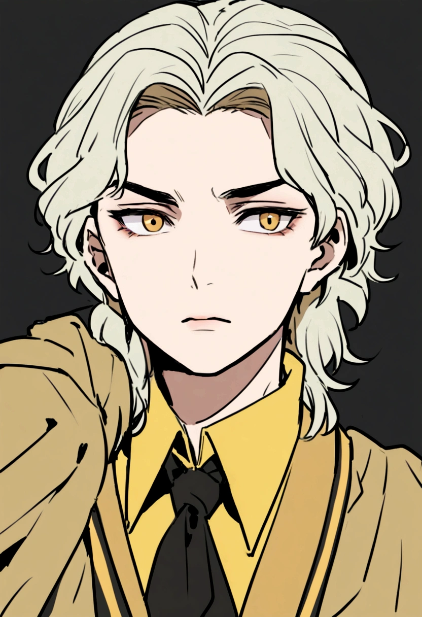 Chico rubio Hufflepuff