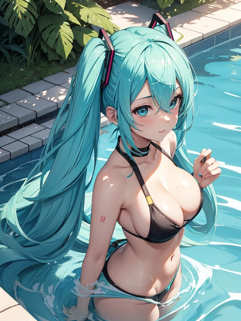 Hot hatsune miku, getting out of the pool, big ass, big tits