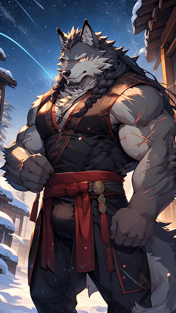 elder，long white beard，long braided hair，solo, kemono, (old grey wolf), anthro (old wolf), anthro, male, anthro male (old wolf), anthro (old wolf), tail,muscles, handsome, general, loose cloth ,bulge, big abs, northern area,wind and snowstorm,perfect lighting, (light particles),(best quality),(masterpiece),(ultra detailed),sharp focus, light particles, strong, serious,rippled muscles, ultradetailed face, ultradetailed eyes, looking at viewer, good looking, , ((detailed face)),a lot of scars,the elder，elder face