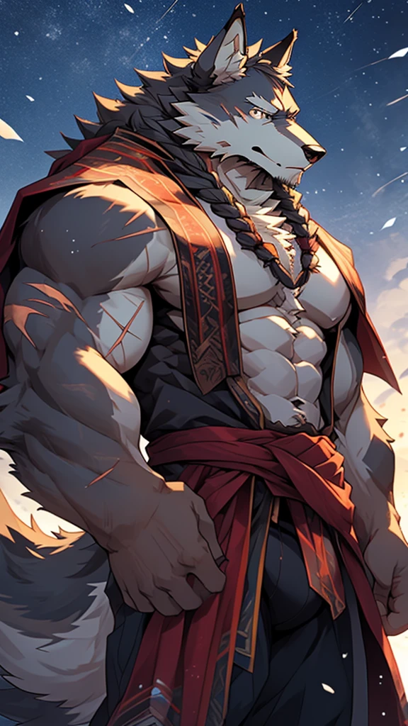 elder，long white beard，long braided hair，solo, kemono, (old grey wolf), anthro (old wolf), anthro, male, anthro male (old wolf), anthro (old wolf), tail,muscles, handsome, general, loose cloth ,bulge, big abs, northern area,wind and snowstorm,perfect lighting, (light particles),(best quality),(masterpiece),(ultra detailed),sharp focus, light particles, strong, serious,rippled muscles, ultradetailed face, ultradetailed eyes, looking at viewer, good looking, bareness, ((detailed face)),a lot of scars,the elder，elder face