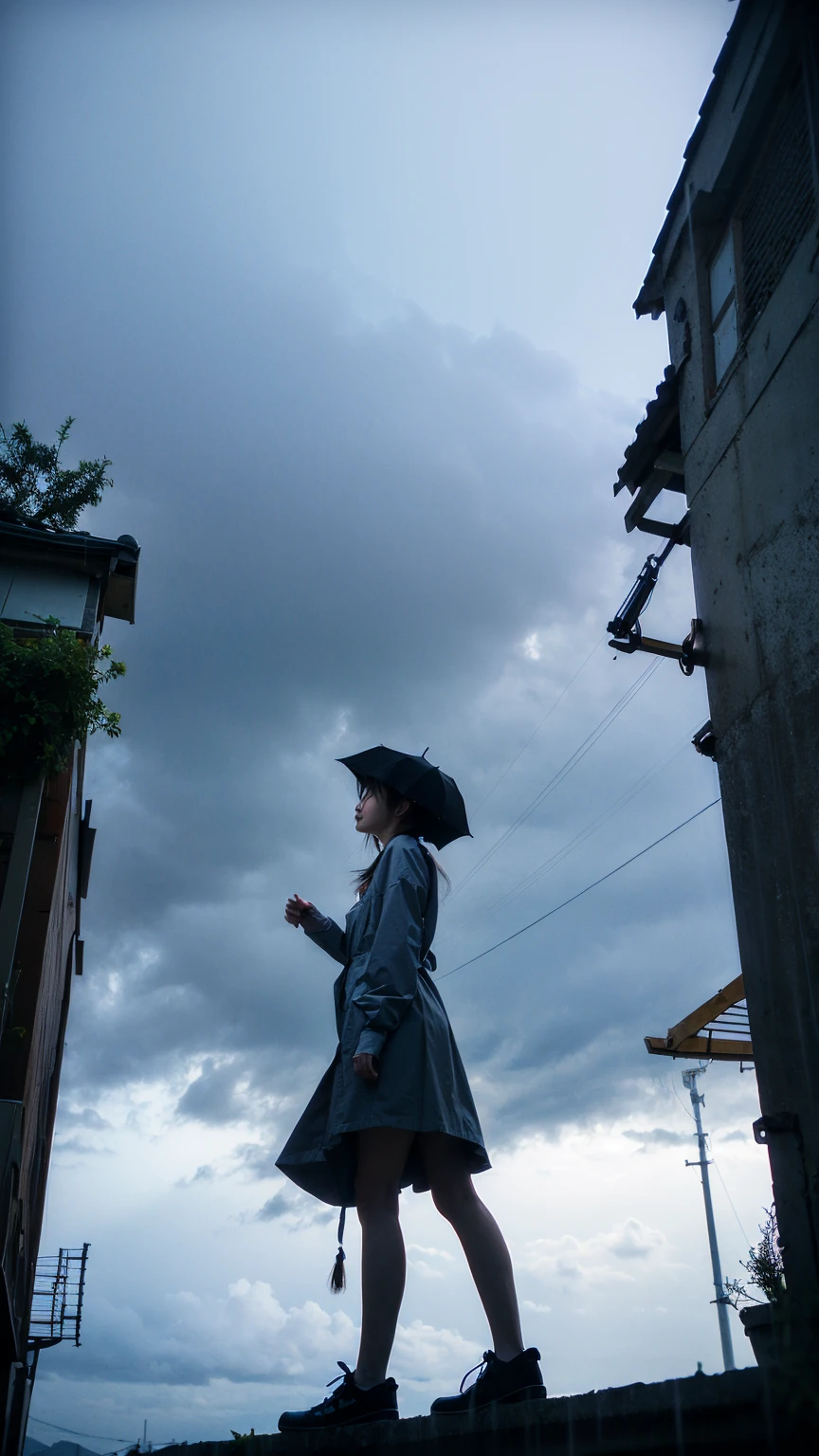 ((crane))、Rainy Sky、((1girl)),from below