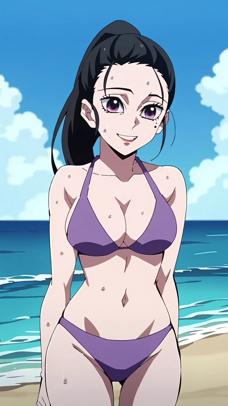 anime screencap, anime_core, score_9, score_8_up, score_7_up, anime screencap, h1nats0r0, black hair, 1girl, ponytail, long hair, purple eyes, Smiling, looking at the viewer, blue theme, blue background, cloudy sky, sunlight, sweat, orgasmic, bikini swimsuit, large breasts, cleavage, belly button exposed, collarbone, thighs, sea and beach, 