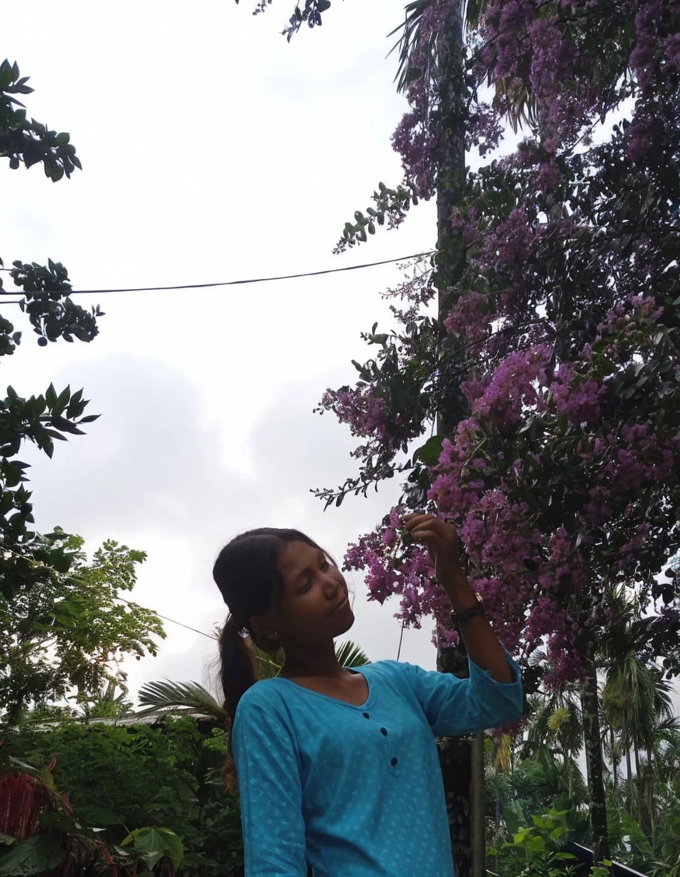 Background changes on flower parks 