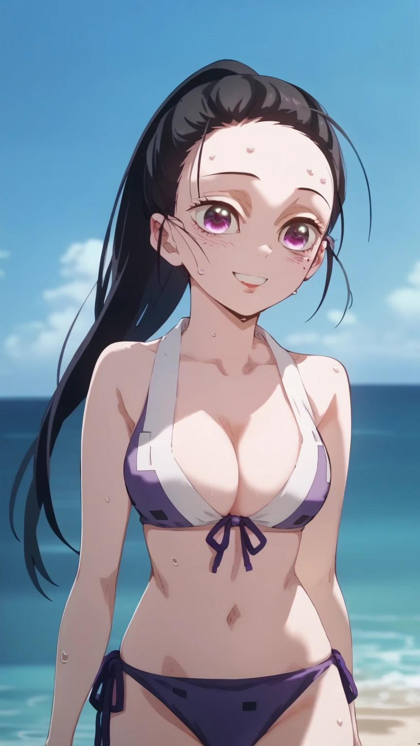 anime screencap, anime_core, score_9, score_8_up, score_7_up, anime screencap, h1nats0r0, black hair, 1girl, ponytail, long hair, purple eyes, Smiling, looking at the viewer, blue theme, blue background, cloudy sky, sunlight, sweat, orgasmic, bikini swimsuit, large breasts, cleavage, belly button exposed, collarbone, thighs, sea and beach,