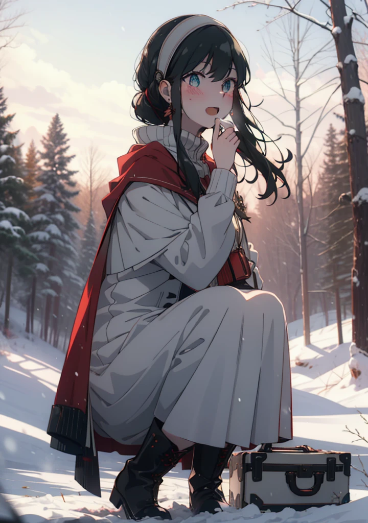 Your thorns, One Girl, blush, Black Hair,Red eyes, hair band, jewelry, Earrings, happy smile, smile, Open your mouth,
Open your mouth,snow,Ground bonfire, Outdoor, boots, snowing, From the side, wood, suitcase, Cape, Blurred, Eat food, forest, White handbag, nature, Squat, Mouth closed, フードed Cape, winter, Written boundary depth, Black shoes, red Cape break looking at viewer, Upper Body, whole body, break Outdoor, forest, nature, break (masterpiece:1.2), Highest quality, High resolution, unity 8k wallpaper, (shape:0.8), (Beautiful and beautiful eyes:1.6), Highly detailed face, Perfect lighting, Highly detailed CG, (Perfect hands, Perfect Anatomy),