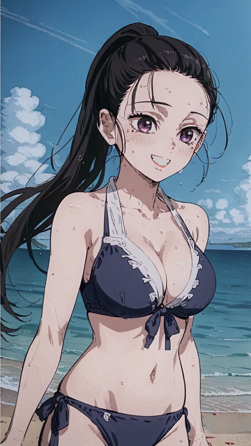 anime screencap, anime_core, score_9, score_8_up, score_7_up, anime screencap, h1nats0r0, black hair, 1girl, ponytail, long hair, purple eyes, Smiling, looking at the viewer, blue theme, blue background, cloudy sky, sunlight, sweat, , bikini , large , , belly button , collarbone, thighs, sea and beach, 
