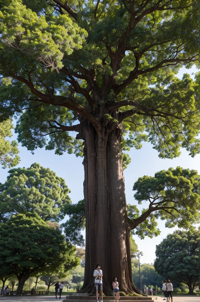 There is a big camphor tree，In the park，Four people were taking pictures of the tree with their mobile phones