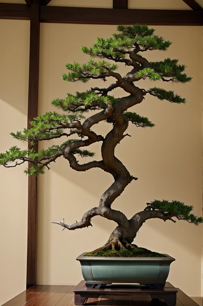 A multicolored bonsai