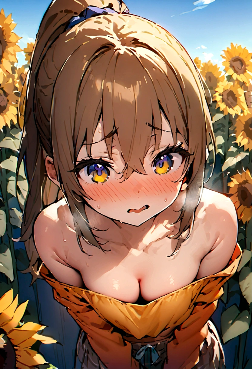 16K、masterpiece、High resolution、((17 year old female))、Little chest、(((thin, Clothes that reveal cleavage))、((thinパンツ))、Captivating look、(())、Very close、Top view、ponytail、Embarrassed appearance、blue sky、Sunflowers bloom