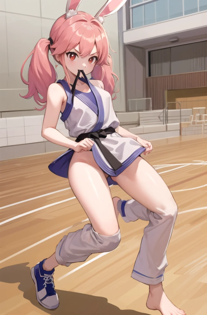 (masterpiece, Highest quality, detailed), One girl, alone, View your viewers, Briar, Pink Hair, Red eyes, Twin tails、Bunny ears、
Daugi, School gym, Fisheye Lens, Combat Stance, Standing on one leg, Kick, Lift your legs, Mouth closed, Severe