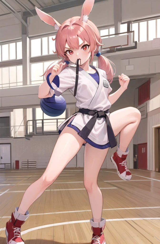 (masterpiece, Highest quality, detailed), One girl, alone, View your viewers, Briar, Pink Hair, Red eyes, Twin tails、Bunny ears、
Daugi, School gym, Fisheye Lens, Combat Stance, Standing on one leg, Kick, Lift your legs, Mouth closed, Severe