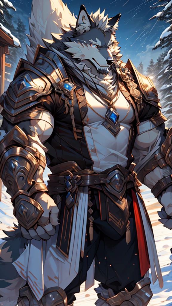 battle，fight，white armor，long blue sword in his hand，elder，gentle and soft，ice magic power，long white beard，long braided hair，solo, kemono, (old grey wolf), anthro (old wolf), anthro, male, anthro male (old wolf), anthro (old wolf), tail,muscles, handsome, general, loose cloth ,bulge, big abs, northern area,cloudy sky，wind and snowstorm,perfect lighting, (light particles),(best quality),(masterpiece),(ultra detailed),sharp focus, light particles, strong, serious,rippled muscles, ultradetailed face, ultradetailed eyes, looking at viewer, good looking, bareness, ((detailed face)),a lot of scars,the elder，elder face