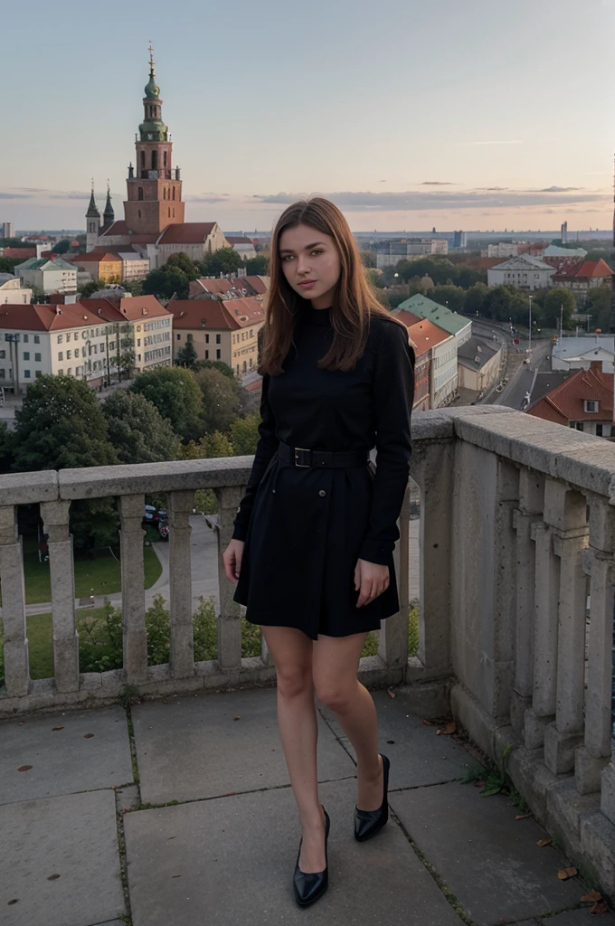 In Lithuania, (((Vilnius))), the scenic backdrop of Vilnius Cathedral and the Tower of Gediminas))