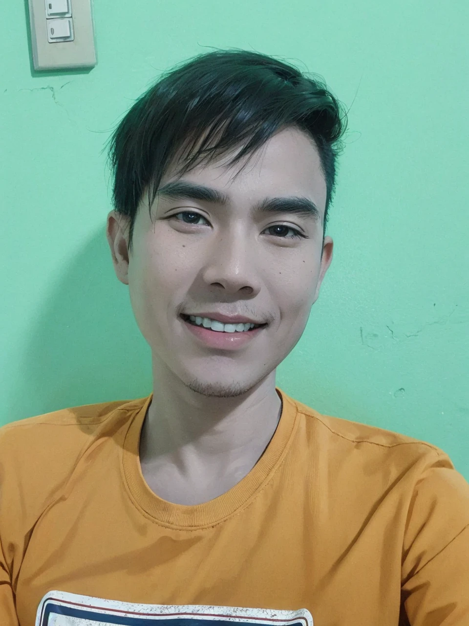Ajvei