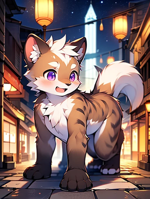 Civet cat, Little Boy, cute, (alone), (((Has brown and white fur))), Big purple eyes, Blushing, smile, Open your mouth, walking, night, Ancient Asian cities, bright street lights, Blue and black slate road, Empty Streets, Starry Sky, Shadow, Detailed facial depiction, ((Accurate hand drawing)), レンブラントの光とShadow, Ultra-fine,Completely naked,Naked,Naked,On all fours,quadruped,Quadrupedal,
