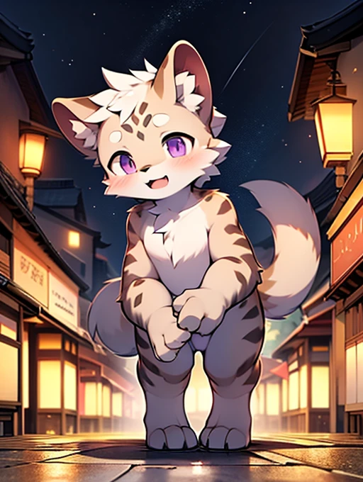 Civet cat, Little Boy, cute, (alone), (((Has brown and white fur))), Big purple eyes, Blushing, smile, Open your mouth, walking, night, Ancient Asian cities, bright street lights, Blue and black slate road, Empty Streets, Starry Sky, Shadow, Detailed facial depiction, ((Accurate hand drawing)), レンブラントの光とShadow, Ultra-fine,Completely naked,Naked,Naked,On all fours,quadruped,Quadrupedal,Embarrassing,Embarrassing表情,