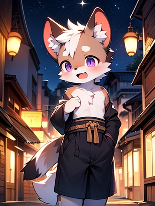 Civet cat, Little Boy, cute, (alone), (((Has brown and white fur))), Big purple eyes, Blushing, smile, Open your mouth, walking, night, Ancient Asian cities, bright street lights, Blue and black slate road, Empty Streets, Starry Sky, Shadow, Detailed facial depiction, ((Accurate hand drawing)), レンブラントの光とShadow, Ultra-fine，Completely naked，Naked，Naked，On all fours，Spread your legs and point your crotch，Embarrassing，Embarrassing表情，