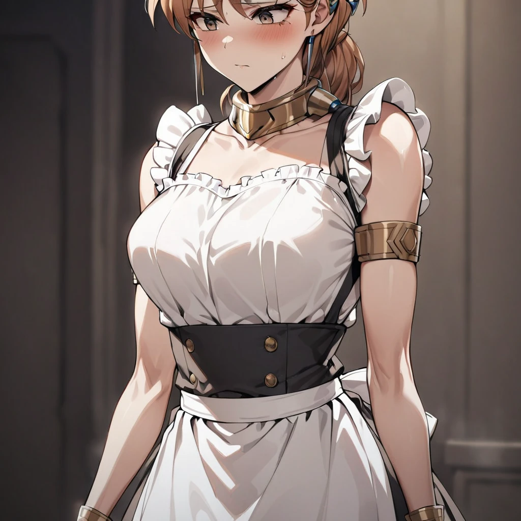 ((Highest quality)), ((masterpiece)), (detailed), （Perfect Face）、The woman is Princess Leona, with medium-long light brown hair, wearing a maid outfit and standing upright with good posture.、The woman has been brainwashed and is expressionless, with rape eyes