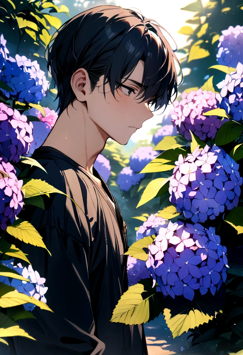 (masterpiece, best quality),1boy with black hair , hydrangea
