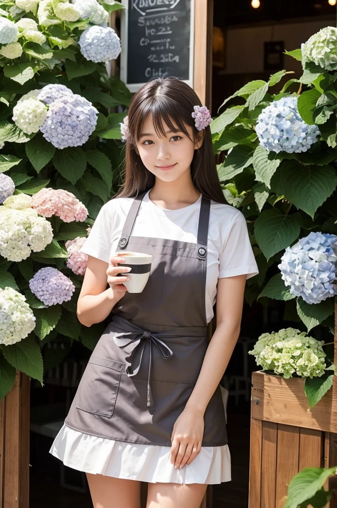 A 20-year-old girl working at a coffee shop decorated with hydrangeas(Wearing a miniskirt and apron)