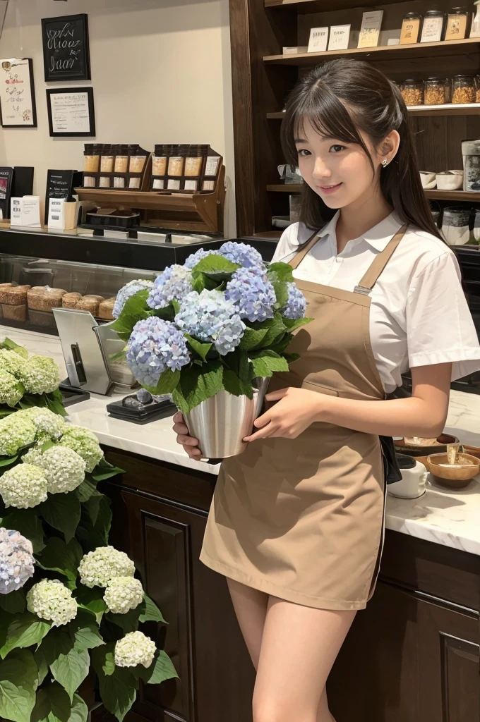 A 20-year-old girl working at a coffee shop decorated with hydrangeas(Wearing a miniskirt and apron)