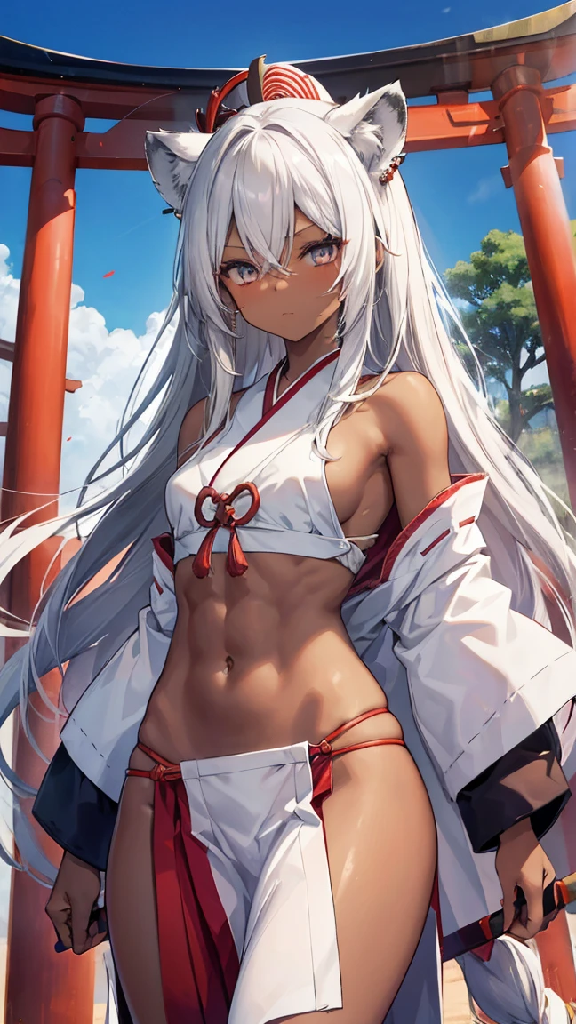 High resolution、Girl、Silver Hair、Long Hair,(Brown skin,Dark Skin,Sunburn),Lion ears、Grey Eyes、Slender、Toned body、Scarlet Hakama,Shrine maiden,,summer,７moon,Thousand Torii Gates,blue sky,Abdominal muscles