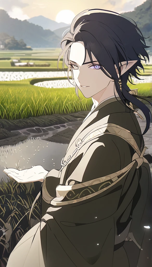 1man, elven ears, thai god, dark black hair, short fluffy hairstyle, glowing grey eyes, terraced rice paddy field, elegant thai clothing,