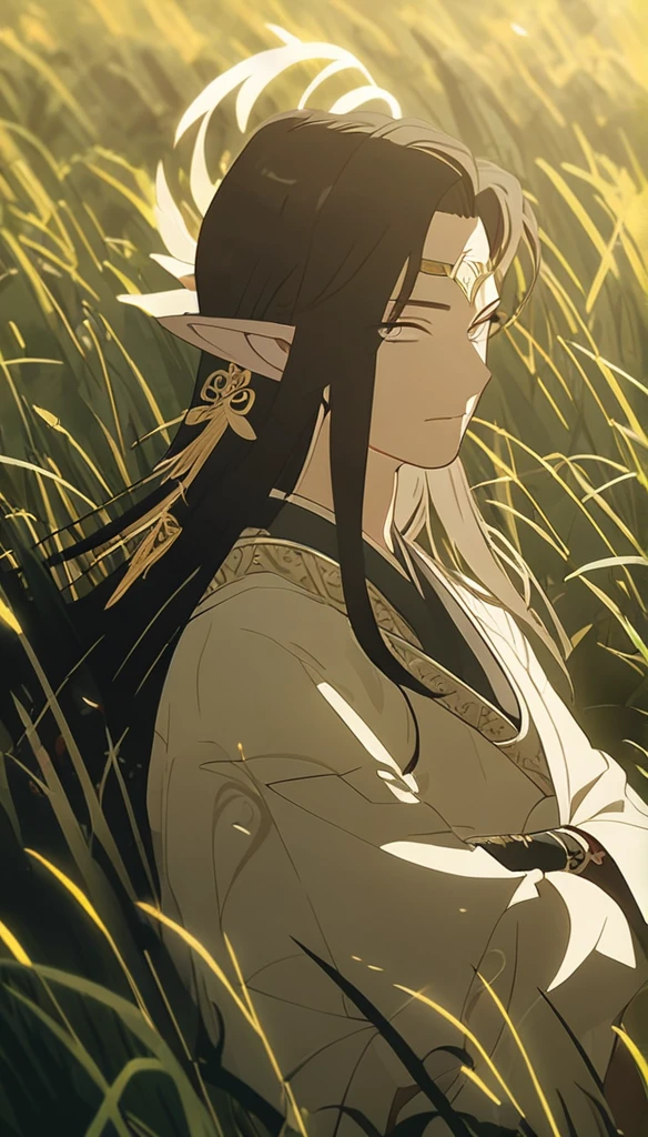 1man, elven ears, earth god, dark black hair, short fluffy hairstyle, glowing grey eyes, grass fields, Thailand, elegant thai clothes,