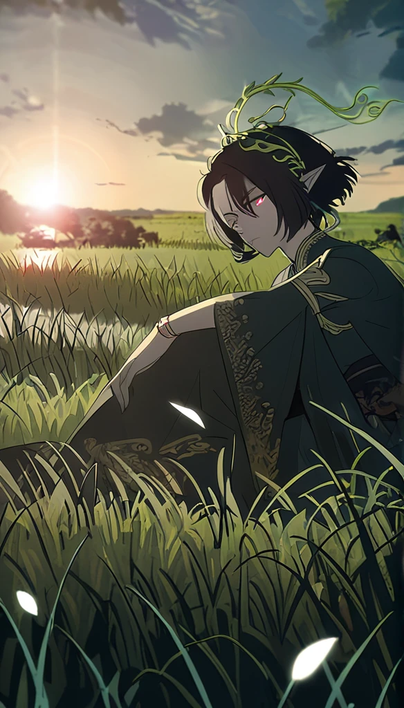 1man, elven ears, earth god, dark black hair, short fluffy hairstyle, glowing grey eyes, grass fields, Thailand, elegant thai clothes,