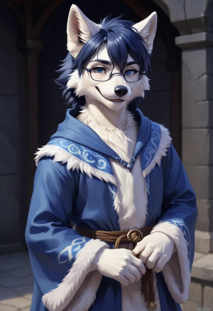 Wolf,male,Mage Clothing,robe,Blue and white fur,Glasses,Orcs,Orcs脸,delicate and pretty,Wolf脸,cute,Young,Introvert,精灵Wolf,Facial details,happy,Smile,Dark blue hair