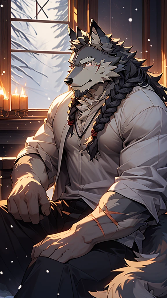 (masterpiece), (photorealistic:1.4), (1boy), (detailed face:1.2), (wolf male:1.5), (old:1.9), (aged), (retired), (muscular build), (gray fur:1.3), (long white beard), (long white braided hair), (loose shirt), (sitting), (resting), (calm expression), (peaceful eyes), (many scars), (scar on face), (scar on body), (indoors), (cold northern region), (room), (fireplace), (fire), (window), (snow outside), (winter), (night), (dim lighting), (cinematic lighting)