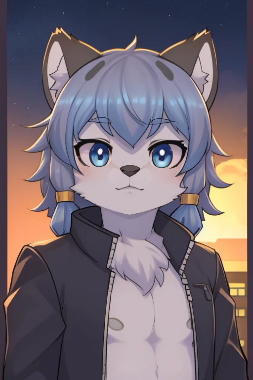 hairy吉祥物,hairy,Hairy chest,snow leopard,in the evening,Night Sky, ,Close-up of cute characters,Blue pupils,Crop topping,full,,Small jacket