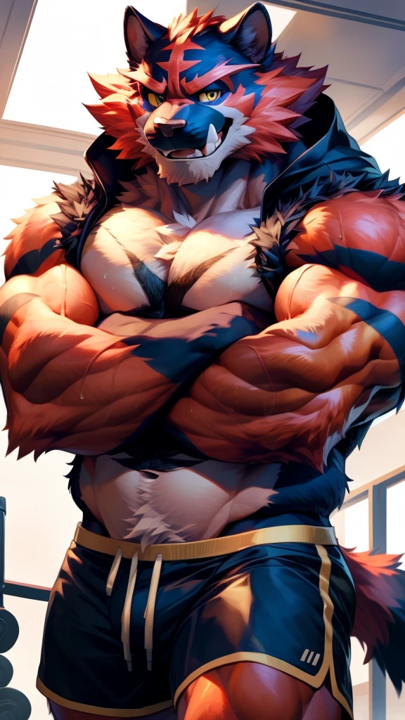 solo, anthropo, furry, furry male, incineroar Pokémon, ((fluffy, fluffy fur, furry body)), (large body), tail, detailed fluffy fur, wearing a black hoodie, detailed face, highly detailed eyes, shorts dark blue, gold embellishments, gold details, crest, detailed clothing, detailed torso, shorts, black muzzle, full body, muscular, detailed prominent veins, body sweat, in a gym, (by null-ghost, by racoon21, masterpiece , high quality, high resolution, 8k had), arms crossed, close-up portrait, looking at viewer, indoor, lights, happy expression, smile