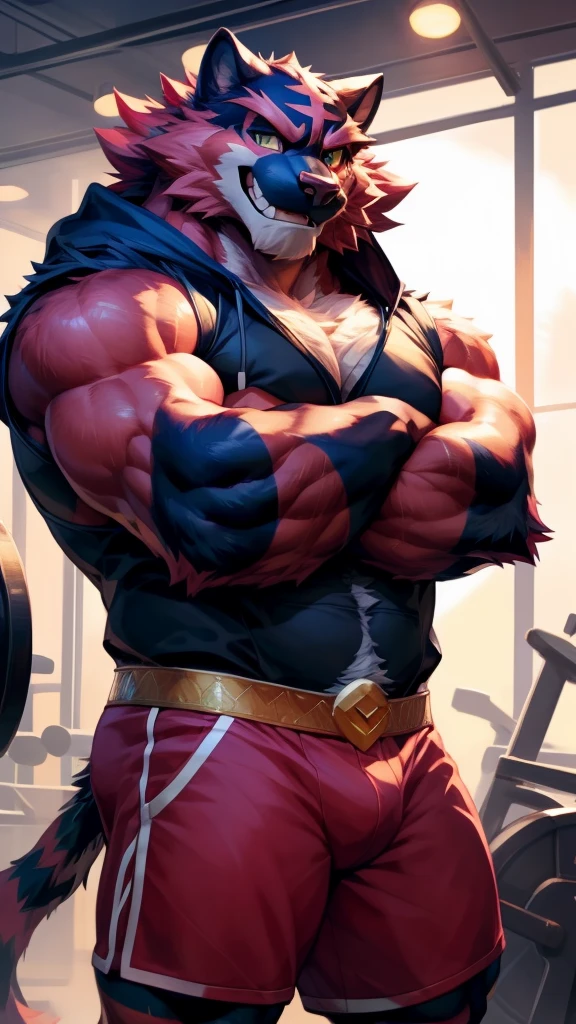 solo, anthropo, furry, furry male, incineroar Pokémon, ((fluffy, fluffy fur, furry body)), (large body), tail, detailed fluffy fur, wearing a black hoodie, detailed face, highly detailed eyes, shorts dark blue, gold embellishments, gold details, crest, detailed clothing, detailed torso, shorts, black muzzle, full body, muscular, detailed prominent veins, body sweat, in a gym, (by null-ghost, by racoon21, masterpiece , high quality, high resolution, 8k had), arms crossed, close-up portrait, looking at viewer, indoor, lights, happy expression, smile