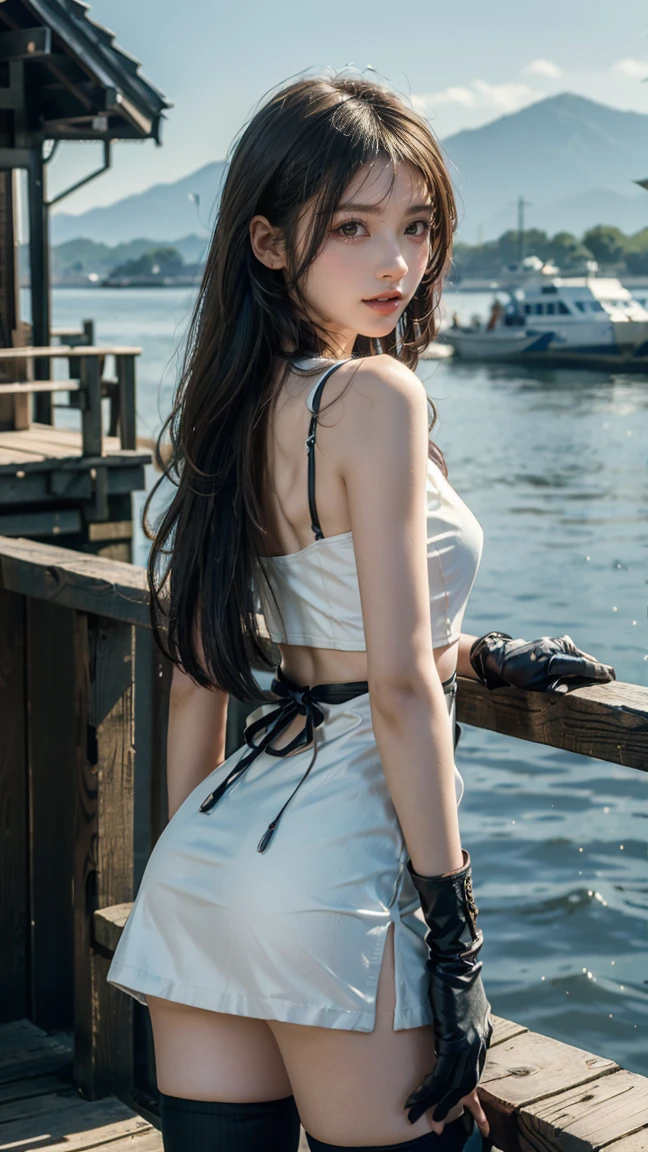 ((Highest quality)), ((masterpiece)), ((One Girl)), alone, ferry, ((Long Hair)), ferryBase, ((Knee socks)), Bare shoulders, ((jewelry)), ((Sleeveless)), White Dress, Blue Skirt, ((gloves)), Up to the thighs, From behind.