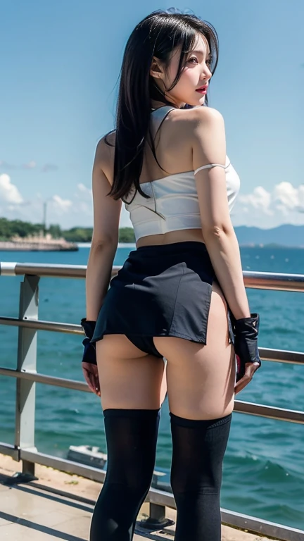 ((Highest quality)), ((masterpiece)), ((One Girl)), alone, ferry, ((Long Hair)), ferryBase, ((Knee socks)), Bare shoulders, ((jewelry)), ((Sleeveless)), White Dress, Blue Skirt, ((gloves)), Up to the thighs, From behind.
