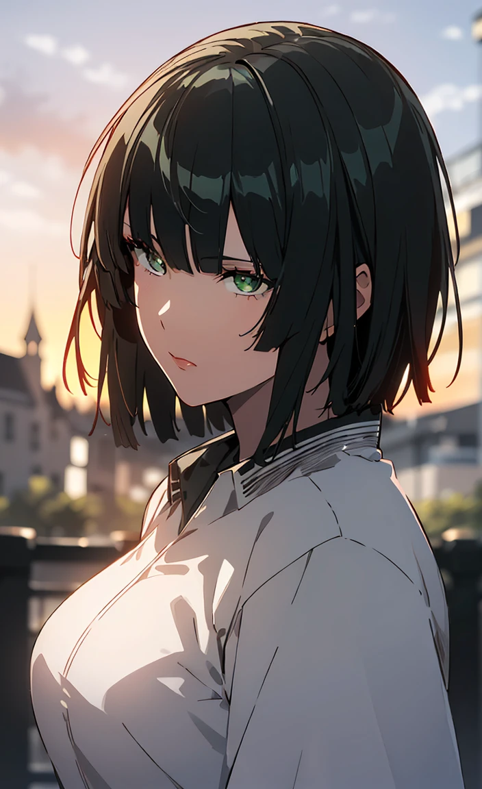 (masterpiece), (extremely intricate:1.3), (realistic), portrait of a girl, the most beautiful in the world, (medieval armor), metal reflections, upper body, outdoors, intense sunlight, far away castle, professional photograph of a stunning woman detailed, sharp focus, dramatic, award winning, cinematic lighting, octane render unreal engine, volumetrics dtx, (film grain, blurry background, blurry foreground, bokeh, depth of field, sunset, motion blur:1.3), chainmail,green eyes, (green color hair:1.2),By bang,short hair,