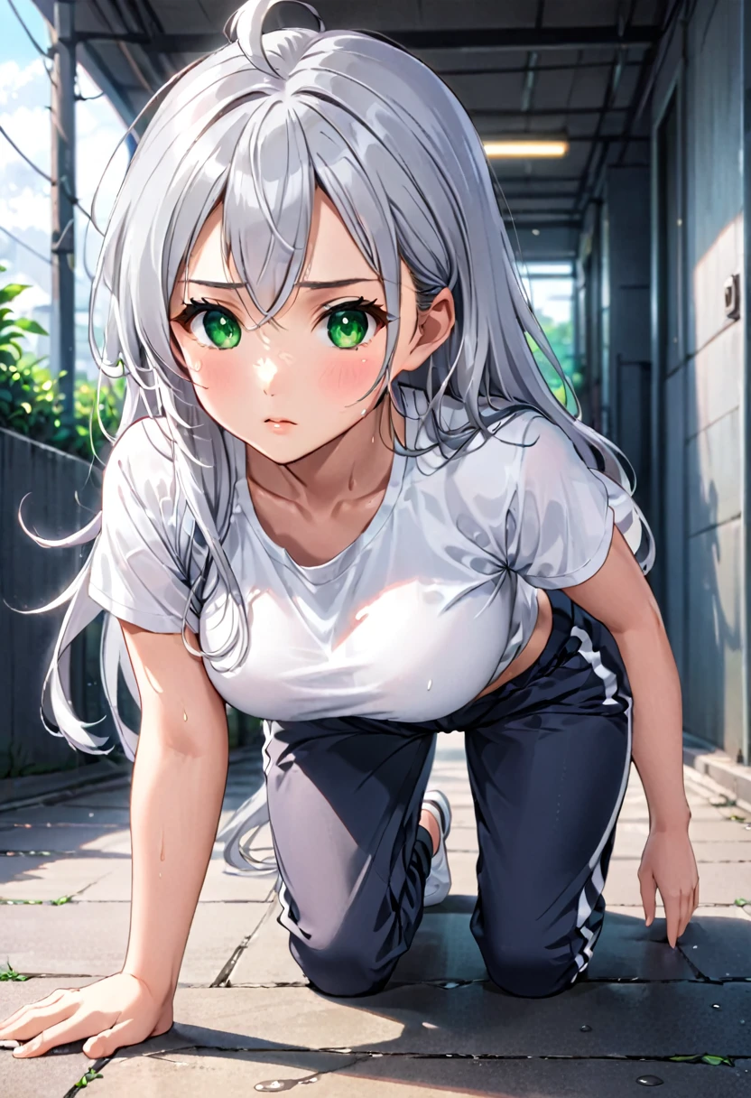 Pretty asian woman, bright silver hair, long hair, green eyes, busty, sweat pants and a white t shirt, cute, anime style, crawling away from the camera, facing away