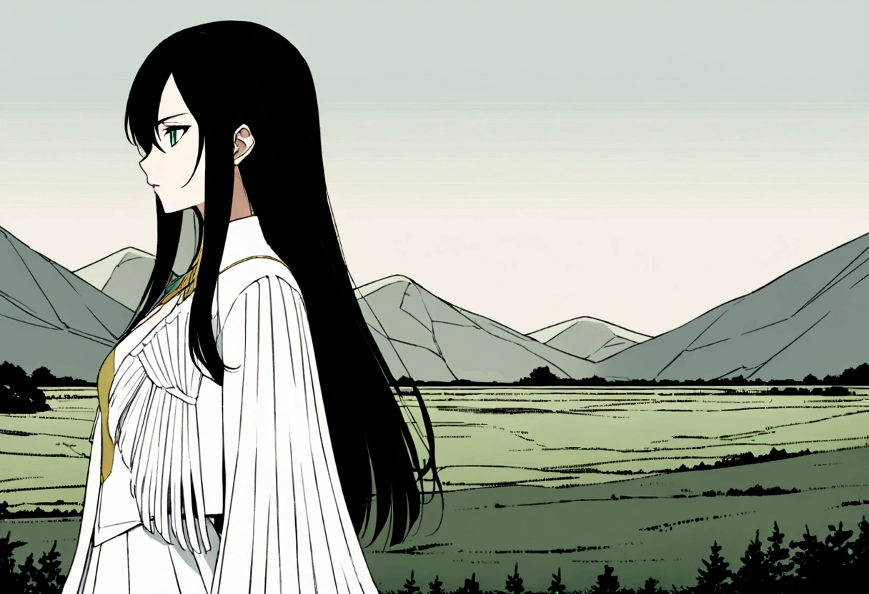 1 a girl, white, black hair, fringe, green eyes, high, distant view, and in profilefashion catwalk, 30 % Megan Fox characteristics, animation in anime version, very detailed illustration, 8ki, masterpieces.