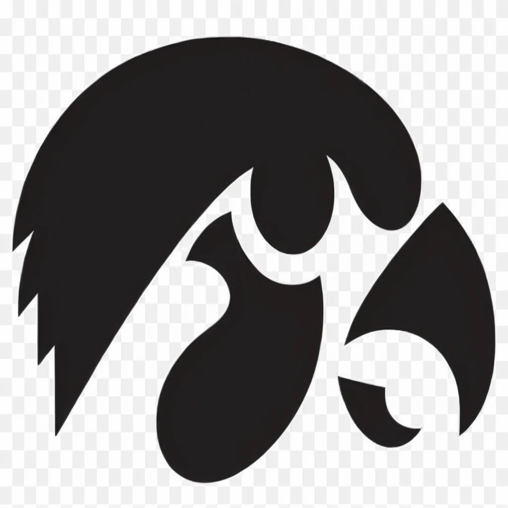 a dark gray University of Iowa Hawkeye logo on a flat black background, 1024x1024, svg vector art, svg art, trending photo, svg illustration, minimalist svg, sfw version, pus, 64x, vector svg art, university, badger badger, svg sticker, iu
