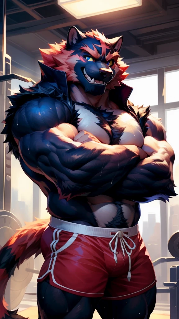 solo, anthropo, furry, furry male, incineroar Pokémon, ((fluffy, fluffy fur, furry body)), (large body), tail, detailed fluffy fur, wearing a black hoodie, detailed face, ((highly detailed eyes)), ((extremely detailed eyes)), ((perfectly designed eyes and pupils)), shorts dark blue, gold embellishments, gold details, crest, detailed clothing, detailed torso, shorts, black muzzle, full body, muscular, detailed prominent veins, body sweat, in a gym, (by null-ghost, by racoon21, masterpiece , high quality, high resolution, 8k had), arms crossed, close-up portrait, looking at viewer, indoor, lights, happy expression, smile