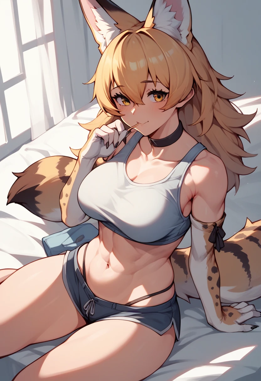 Score_9, Score_8_up, Score_7_up, Score_6_up, Score_5_up, Score_4_up, source_anime, 1girl, servalkemono, nsfw