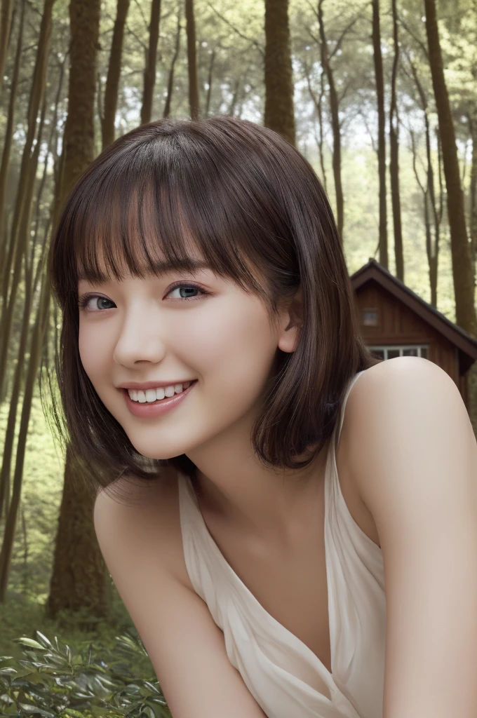 ((table top:1.4, highest quality)), (realistic pictures:1.4), 
((1 girl)), 
(超High resolution:1.2), very delicate and beautiful, wonderful, Highly detailed CG Unity 8k wallpaper, Super detailed, High resolution, 
soft light, beautiful detailed girl, highly detailed eyes and face, beautifully detailed nose, beautiful and detailed eyes, 
(princess of fairyland:1.3), 
cinematic lighting, perfect ???????, slender body, , (parted bangs),
(little house in the forest:1.3), 
cowboy shot, looking at the viewer, smile

