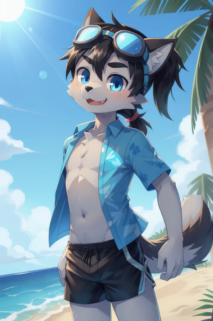 Furry shota, wolf, black hair, long spiky ponytail, blue eyes, detailed body fur, ((goggles, blue hawaiian shirt, open clothes, black swim trunks)), looking at you, fangs, clear grey body fur, detailed face, big eyebrows, detailed eyes, detailed body, detailed body fur, detailed hands, flat body, glistering body, shiny body, skinny, glow throughout the scene, gorgeous body, solo, :3, uperbody, beach, clear sky,
