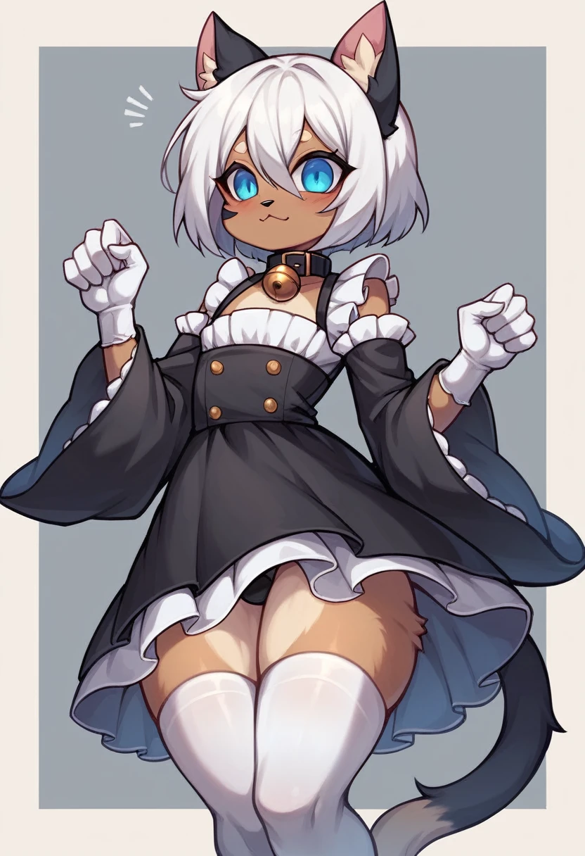 work of art, perfect, highy detailed, (small hibryd anthro cat femboy), pele black fofa, ((blue colored eyes)), ((1))fluffy cat tail, short white hair, tiny chest, (black cat ears), Wearing a BLACK collar, very short maid dress, White silk gloves, silk white thigh socks, wearing a black muzzle, True muzzle, god of eyes, niji, god of eyes, niji,black collar with bell, cute thighs, blue colored eyes brilhantes