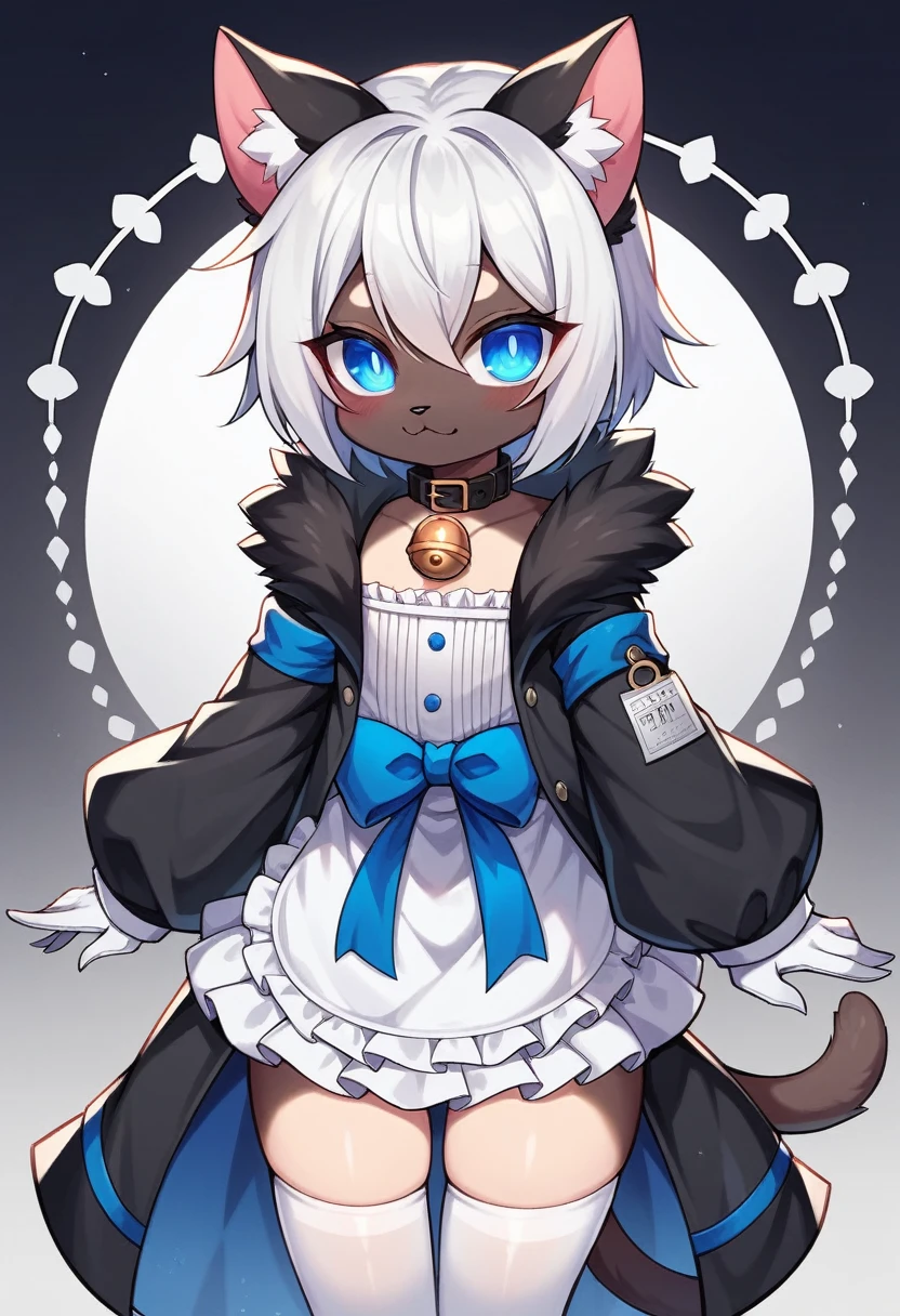 work of art, perfect, highy detailed, (small hibryd anthro cat femboy), fluffy black fur, ((blue colored eyes)), ((1))fluffy cat tail, short white hair, tiny chest, (black cat ears), Wearing a BLACK collar, very short maid dress, White silk gloves, silk white thigh socks, wearing a black muzzle, True muzzle, god of eyes, niji, god of eyes, niji,black collar with bell, cute thighs, blue colored eyes brilhantes, black coat, detailed coat