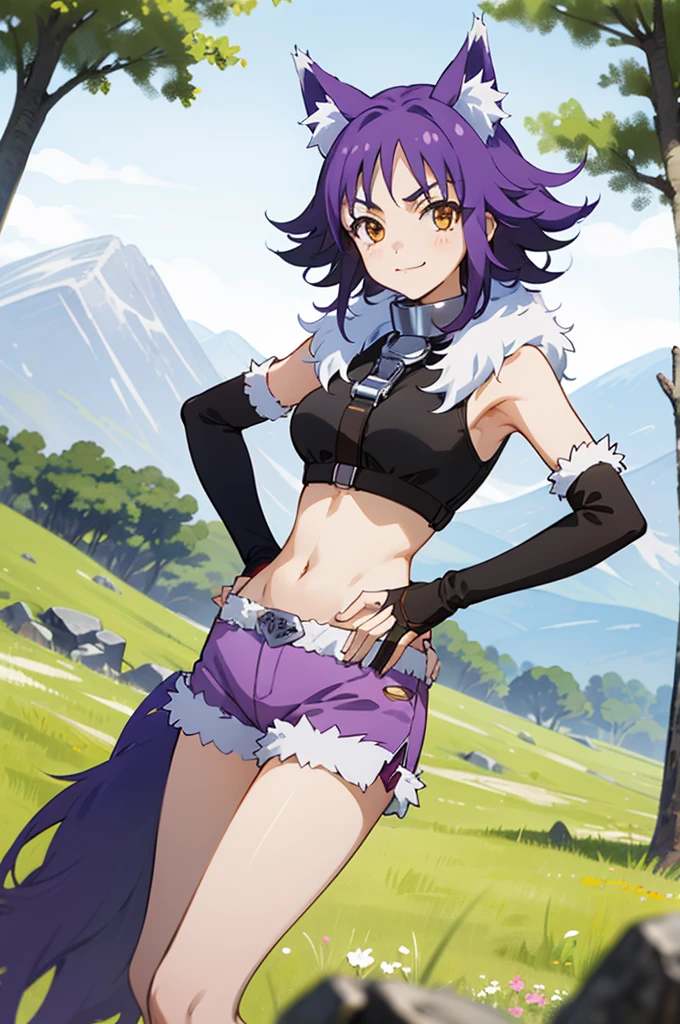 best quality, masterpiece, detailed,
Makoto,
1girl, closed mouth, light smile,
purple hair, medium hair, brown eyes, wolf ears, sidelocks,
crop top, sleeveless, fur trim, purple shorts, metal collar, elbow gloves,
looking at viewer, hand on hip,
outdoors, forest, mountain