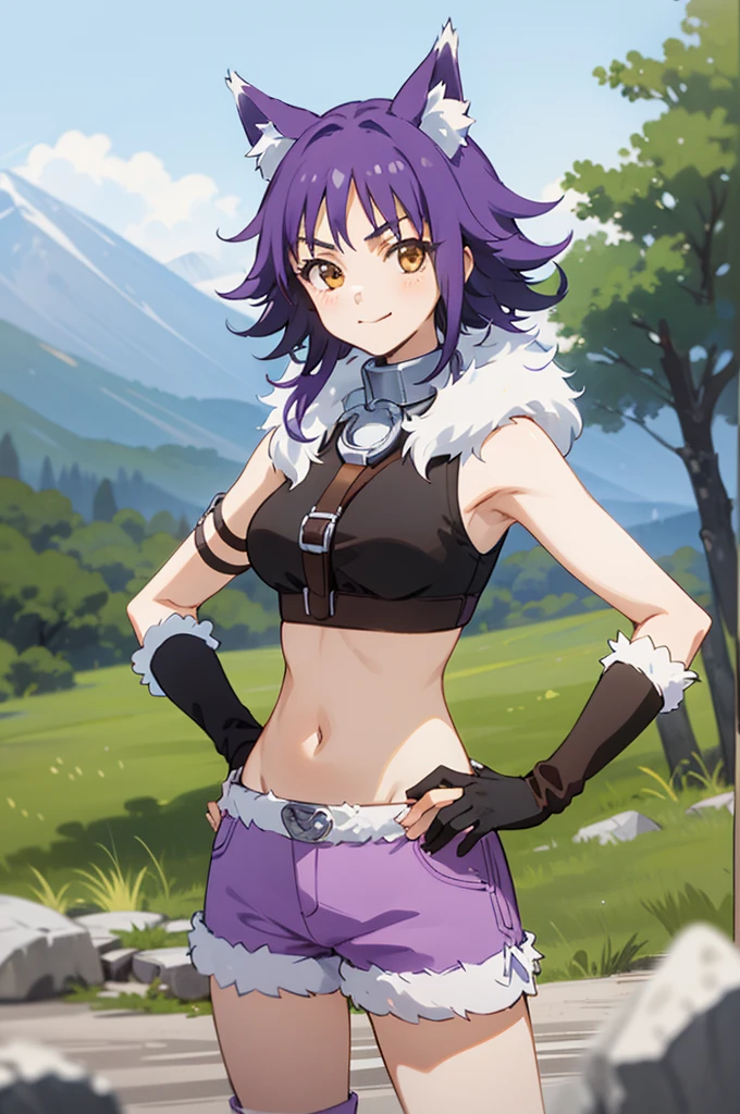 best quality, masterpiece, detailed,
Makoto,
1girl, closed mouth, light smile,
purple hair, medium hair, brown eyes, wolf ears, sidelocks,
crop top, sleeveless, fur trim, purple shorts, metal collar, elbow gloves,
looking at viewer, hand on hip,
outdoors, forest, mountain