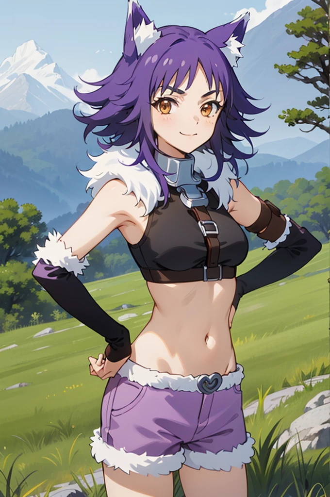 best quality, masterpiece, detailed,
Makoto,
1girl, closed mouth, light smile,
purple hair, medium hair, brown eyes, wolf ears, sidelocks,
crop top, sleeveless, fur trim, purple shorts, metal collar, elbow gloves,
looking at viewer, hand on hip,
outdoors, forest, mountain